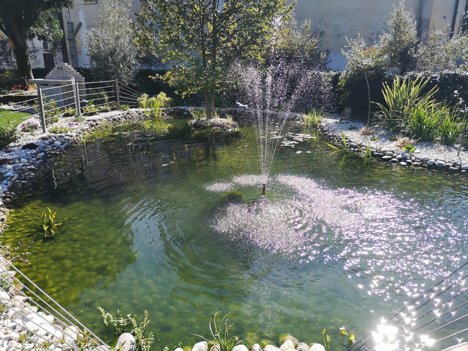 Laghetto ornamentale con pietre e fontana, un anno dopo la realizzazione